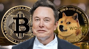 特朗普和马斯克对加密货币的影响