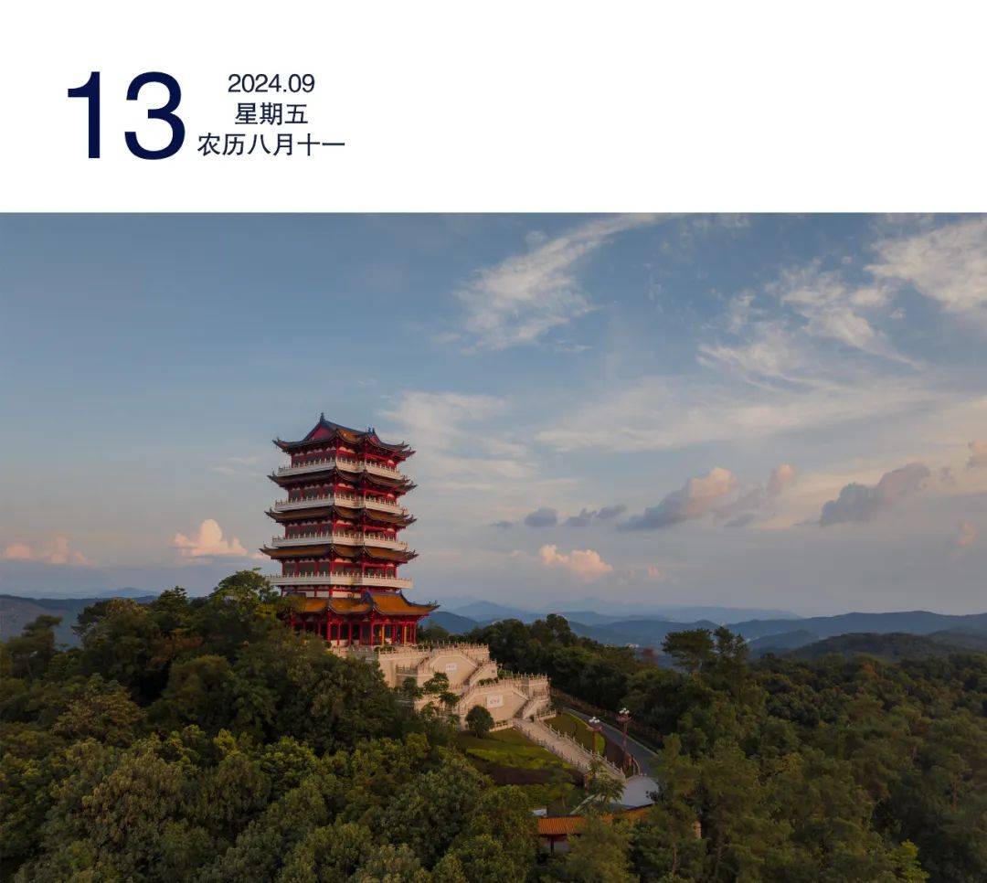 手速要快！今天开抢