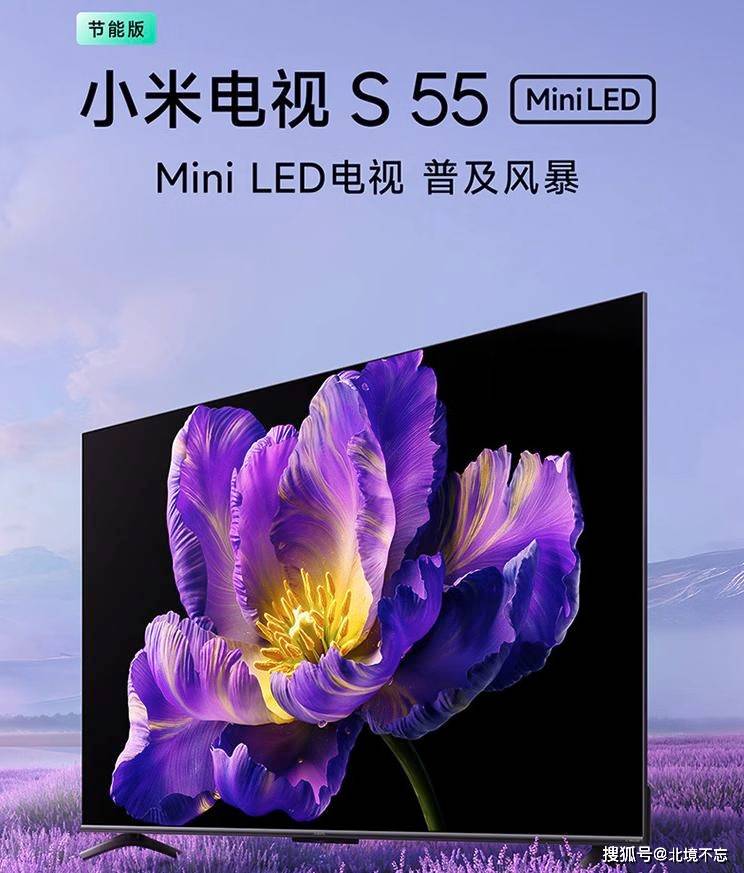 55英寸电视机推荐，哪个电视机品牌好？值得买的八款55英寸电视机