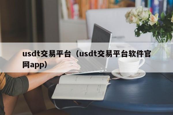 包含usdt去哪个平台安全一些的词条