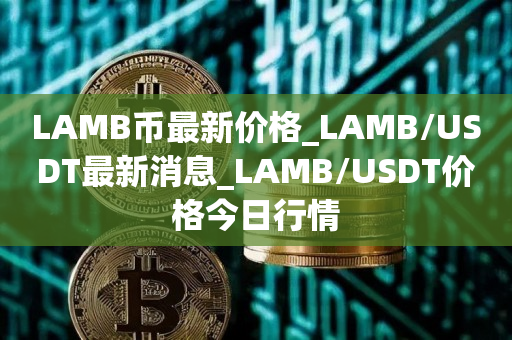 usdt支持网络(支持usdt的购物网站)